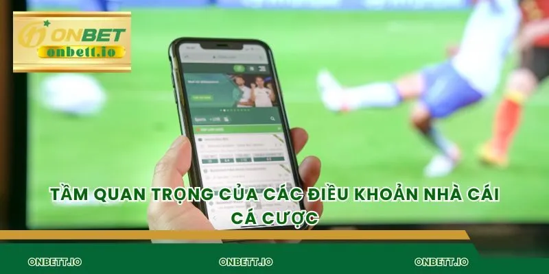 Tầm quan trọng của các điều khoản nhà cái cá cược